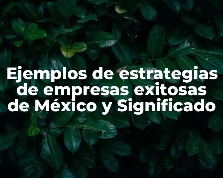 Ejemplos de estrategias de empresas exitosas de México y Significado