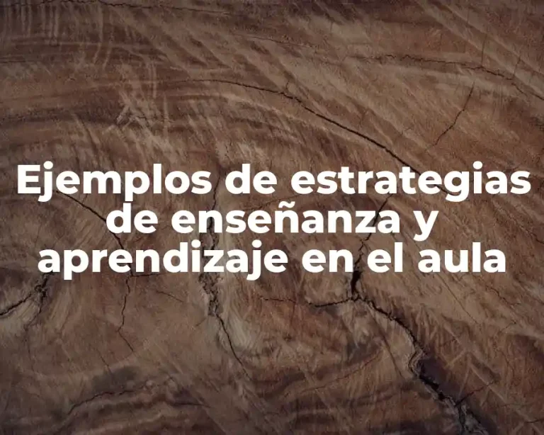 Ejemplos de estrategias de enseñanza y aprendizaje en el aula