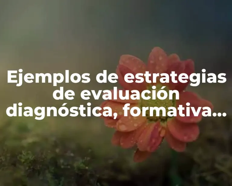 Ejemplos de estrategias de evaluación diagnóstica, formativa y sumativa