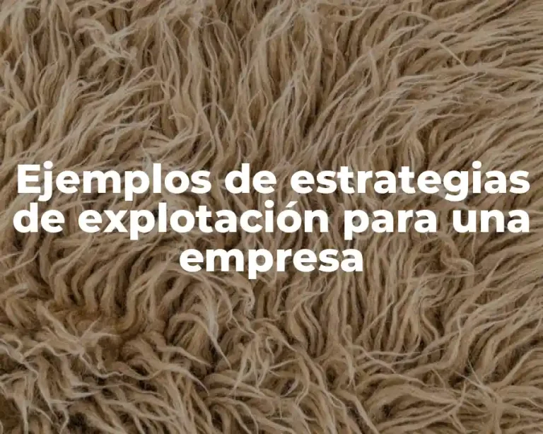 Ejemplos de estrategias de explotación para una empresa