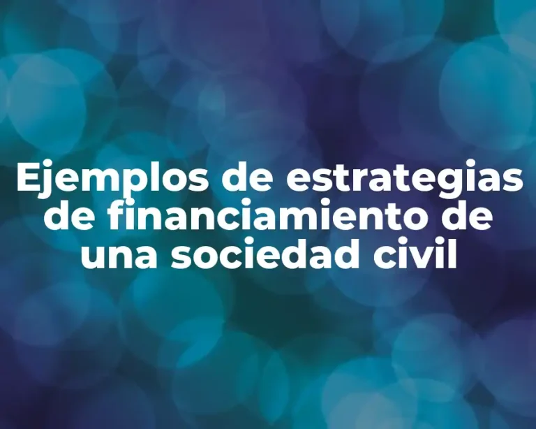 Ejemplos de estrategias de financiamiento de una sociedad civil