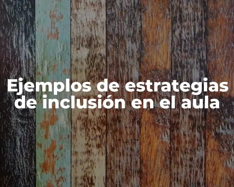Ejemplos de estrategias de inclusión en el aula