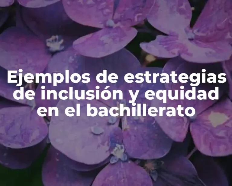 Ejemplos de estrategias de inclusión y equidad en el bachillerato
