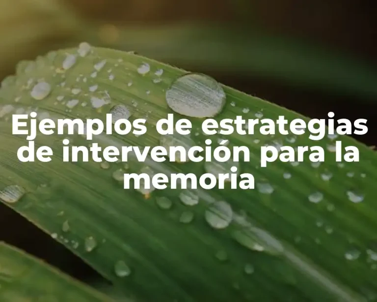 Ejemplos de estrategias de intervención para la memoria