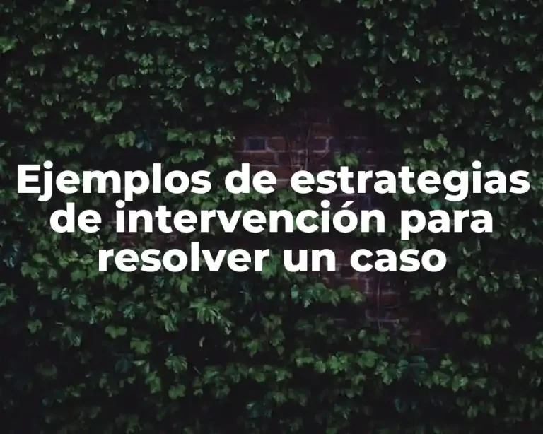 Ejemplos de estrategias de intervención para resolver un caso