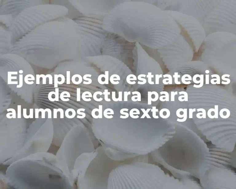 Ejemplos de estrategias de lectura para alumnos de sexto grado