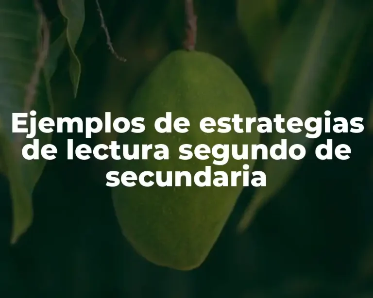 Ejemplos de estrategias de lectura segundo de secundaria