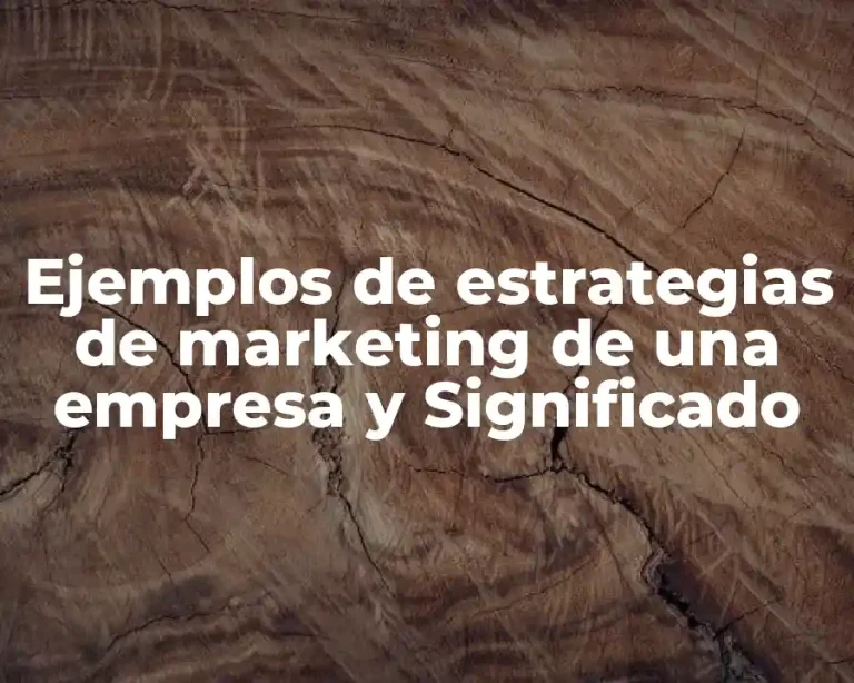 Ejemplos de estrategias de marketing de una empresa y Significado