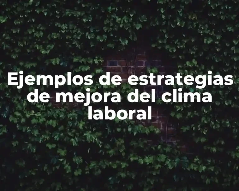 Ejemplos de estrategias de mejora del clima laboral