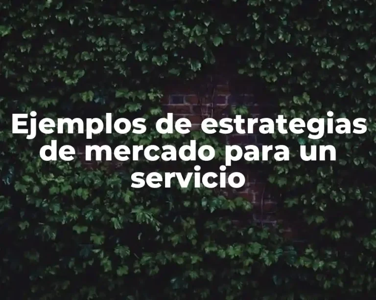 Ejemplos de estrategias de mercado para un servicio