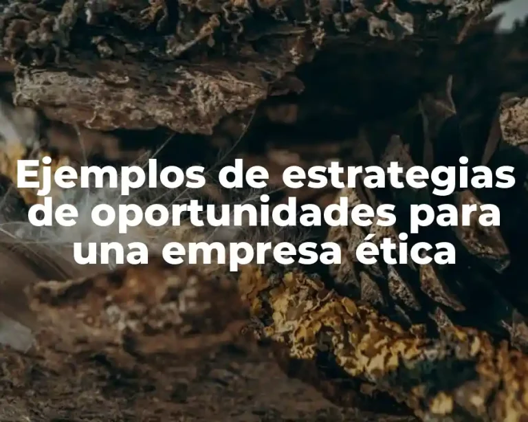 Ejemplos de estrategias de oportunidades para una empresa ética