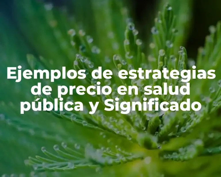 Ejemplos de estrategias de precio en salud pública y Significado