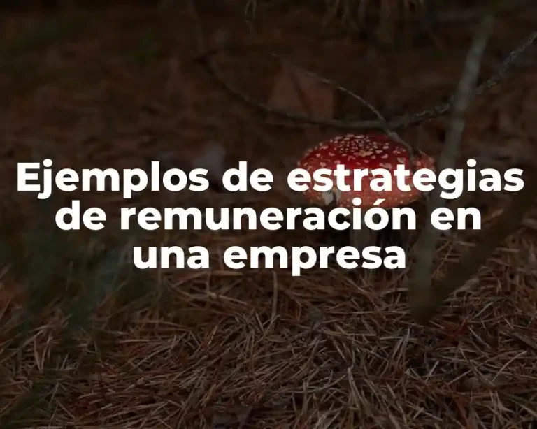 Ejemplos de estrategias de remuneración en una empresa
