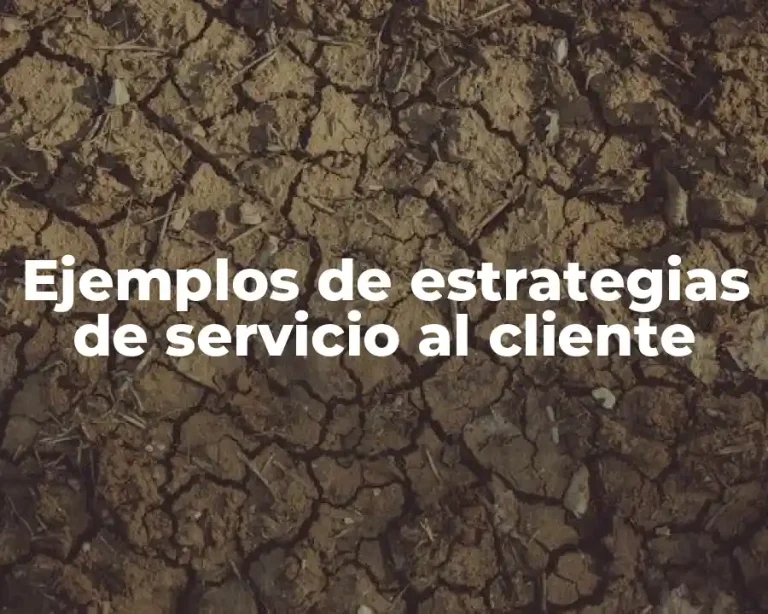 Ejemplos de estrategias de servicio al cliente