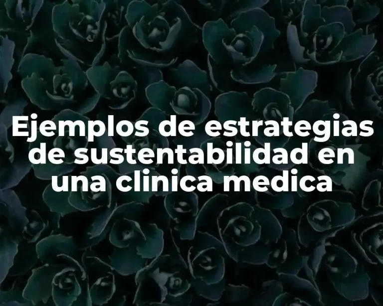 Ejemplos de estrategias de sustentabilidad en una clinica medica