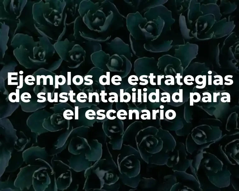 Ejemplos de estrategias de sustentabilidad para el escenario