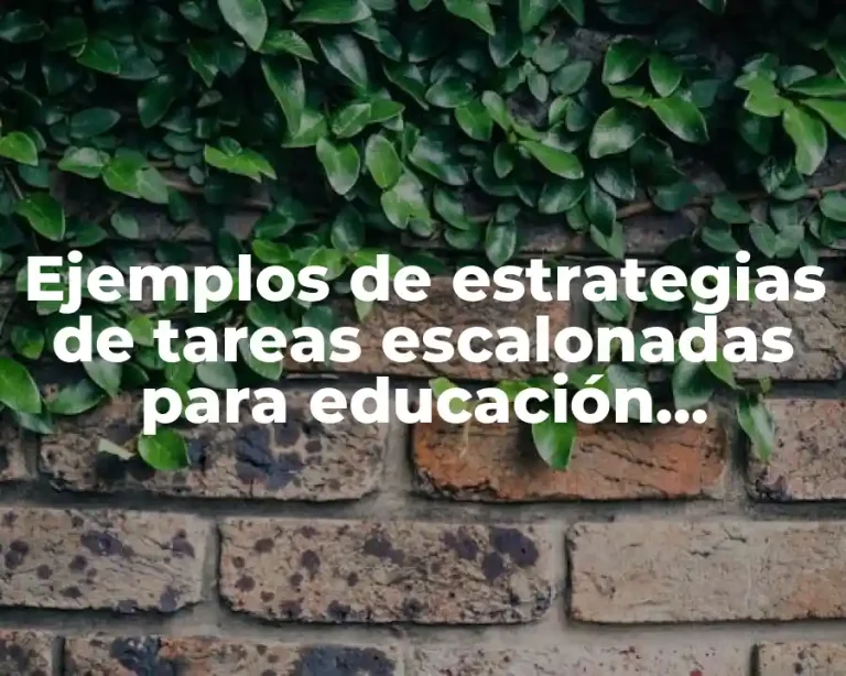 Ejemplos de estrategias de tareas escalonadas para educación primaria