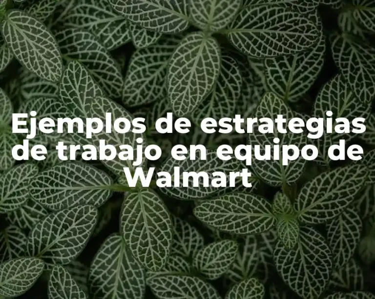 Ejemplos de estrategias de trabajo en equipo de Walmart