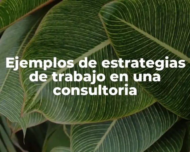 Ejemplos de estrategias de trabajo en una consultoria
