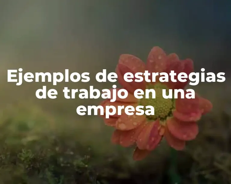 Ejemplos de estrategias de trabajo en una empresa