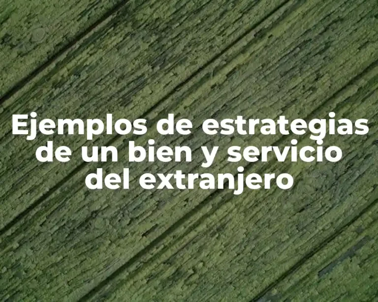 Ejemplos de estrategias de un bien y servicio del extranjero