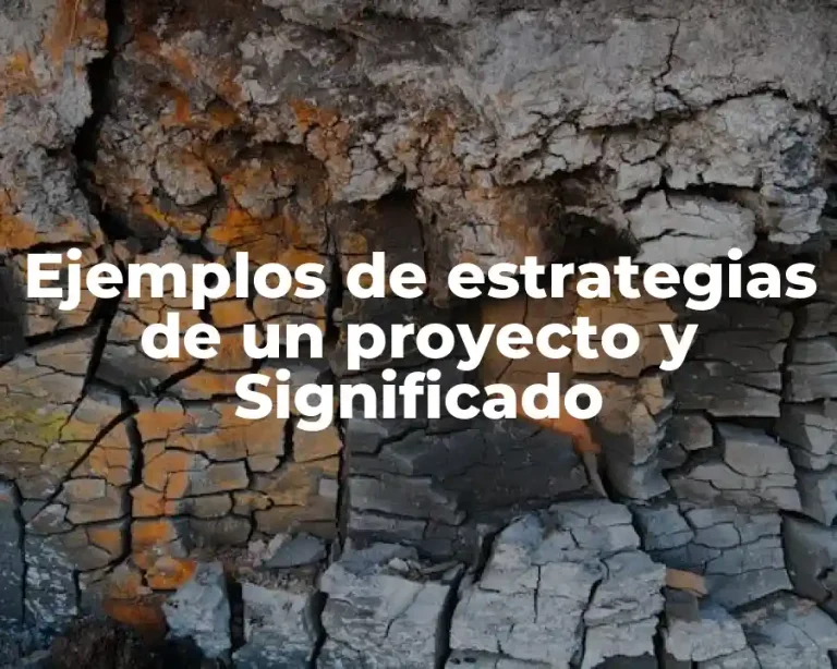 Ejemplos de estrategias de un proyecto y Significado