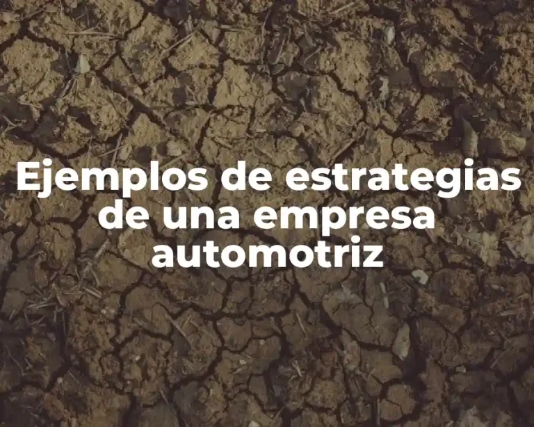 Ejemplos de estrategias de una empresa automotriz