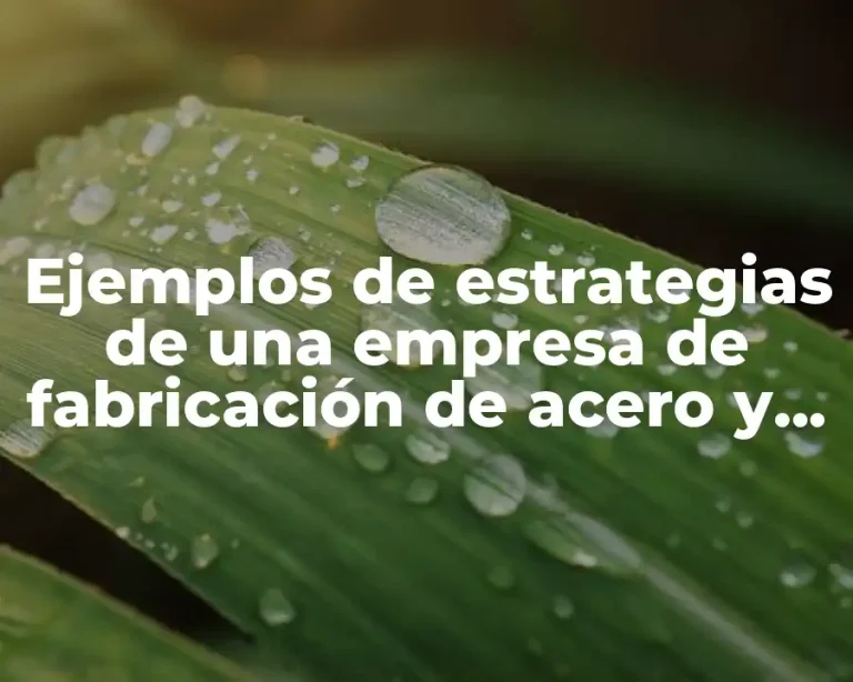 Ejemplos de estrategias de una empresa de fabricación de acero y Significado