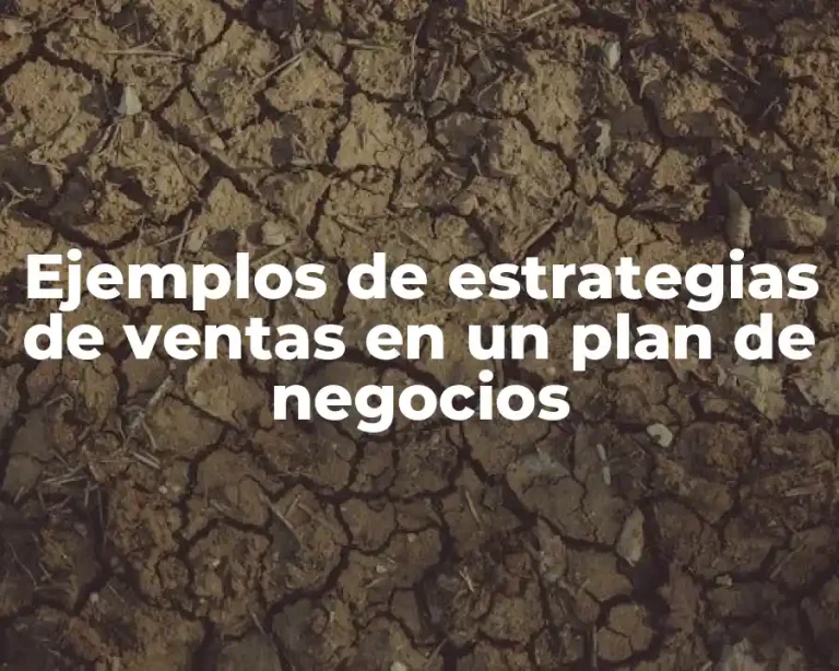 Ejemplos de estrategias de ventas en un plan de negocios