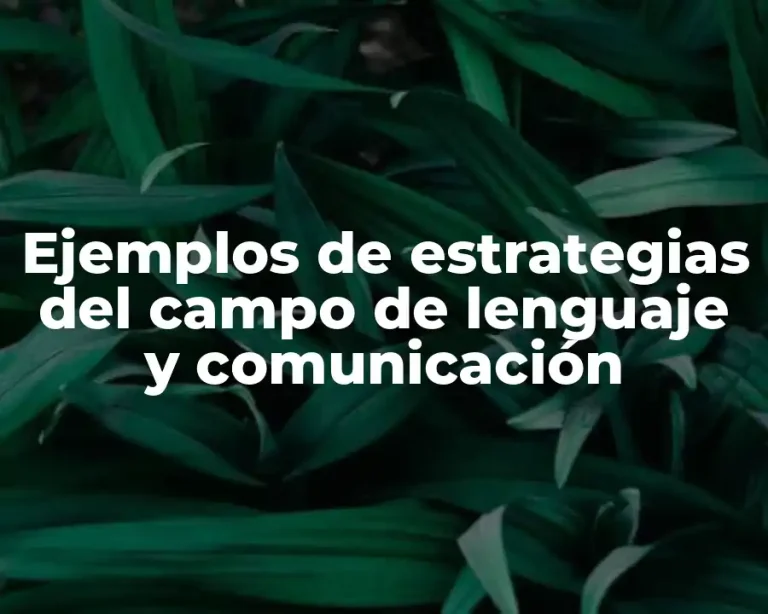 Ejemplos de estrategias del campo de lenguaje y comunicación