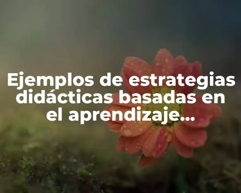 Ejemplos de estrategias didácticas basadas en el aprendizaje colaborativo y Significado