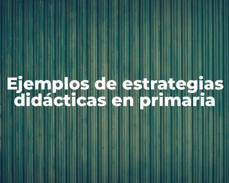 Ejemplos de estrategias didácticas en primaria