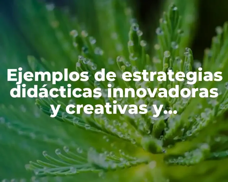 Ejemplos de estrategias didácticas innovadoras y creativas y Significado