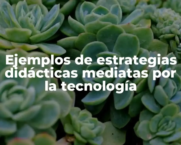 Ejemplos de estrategias didácticas mediatas por la tecnología