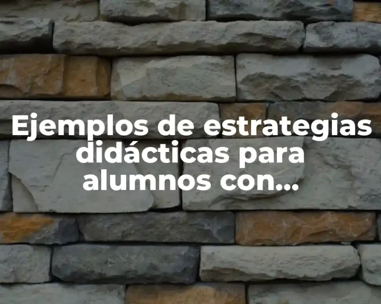 Ejemplos de estrategias didácticas para alumnos con necesidades especiales