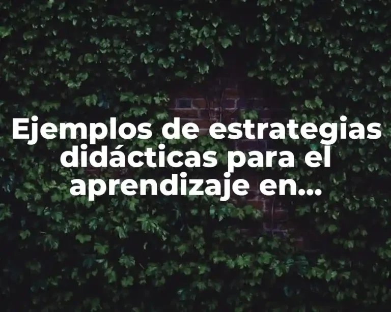 Ejemplos de estrategias didácticas para el aprendizaje en sucesiones numéricas y Significado