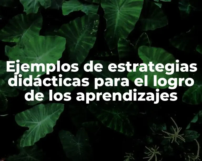 Ejemplos de estrategias didácticas para el logro de los aprendizajes