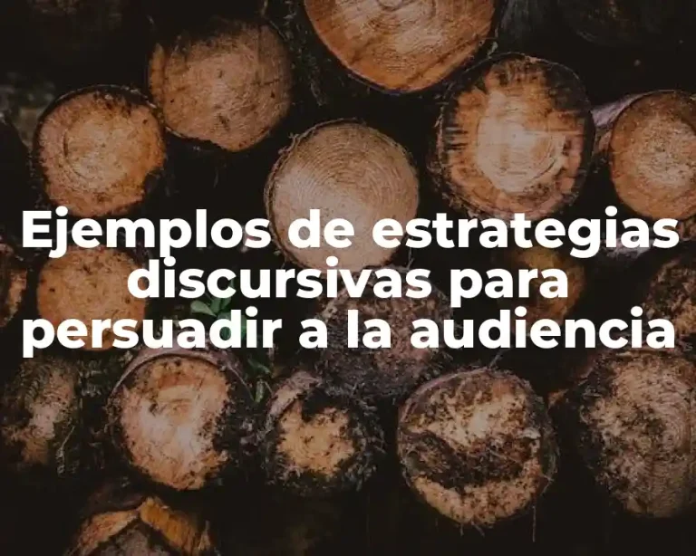 Ejemplos de estrategias discursivas para persuadir a la audiencia
