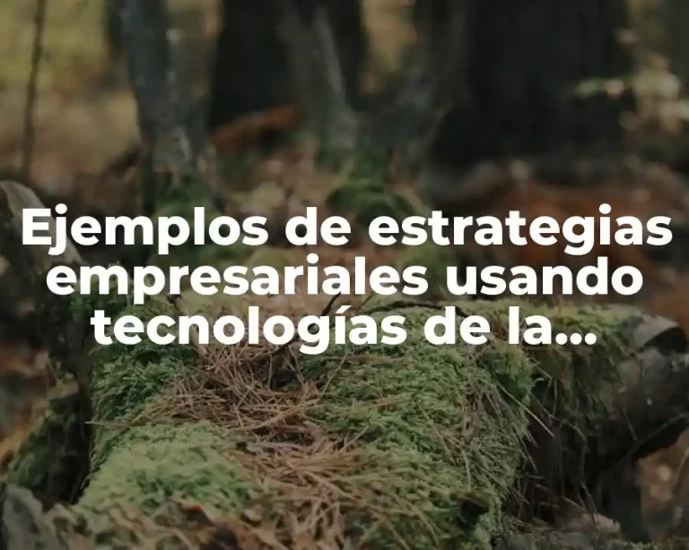Ejemplos de estrategias empresariales usando tecnologías de la información