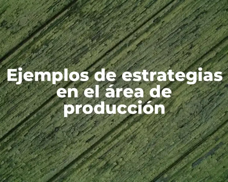 Ejemplos de estrategias en el área de producción