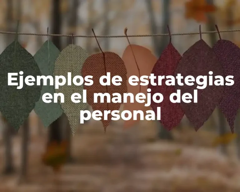 Ejemplos de estrategias en el manejo del personal