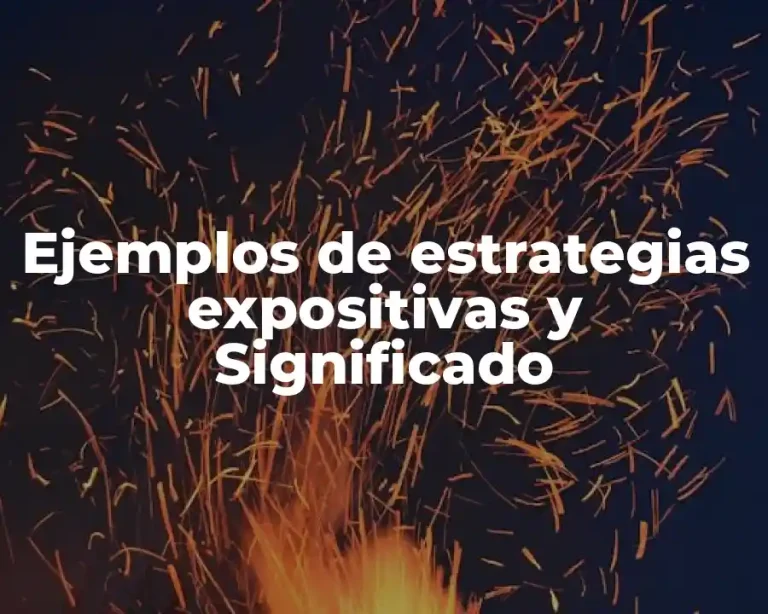 Ejemplos de estrategias expositivas y Significado