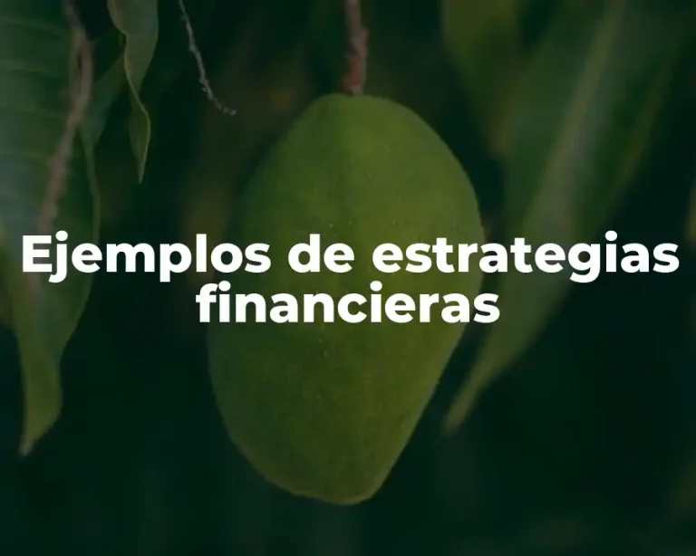 Ejemplos de estrategias financieras
