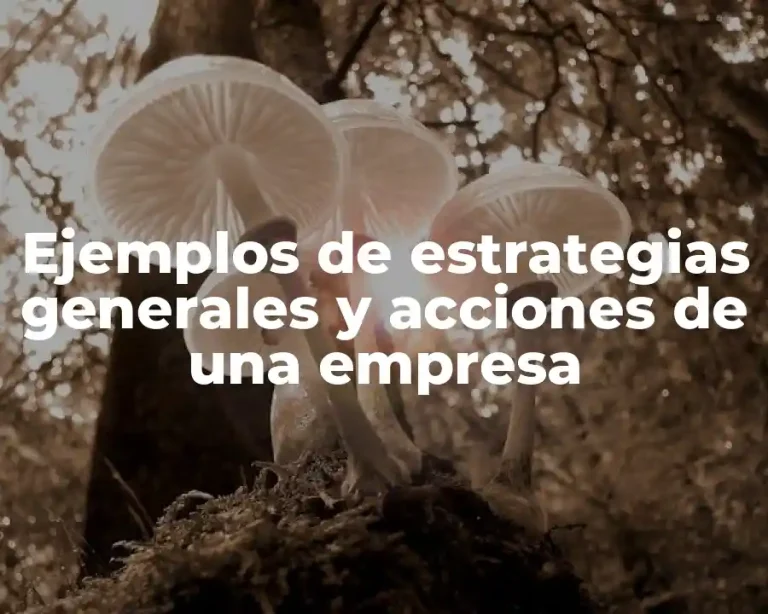 Ejemplos de estrategias generales y acciones de una empresa