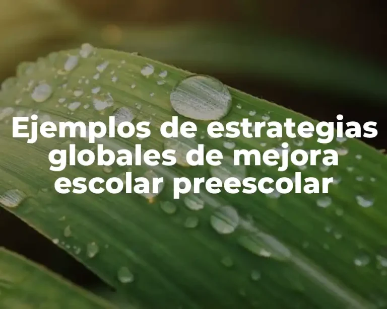 Ejemplos de estrategias globales de mejora escolar preescolar