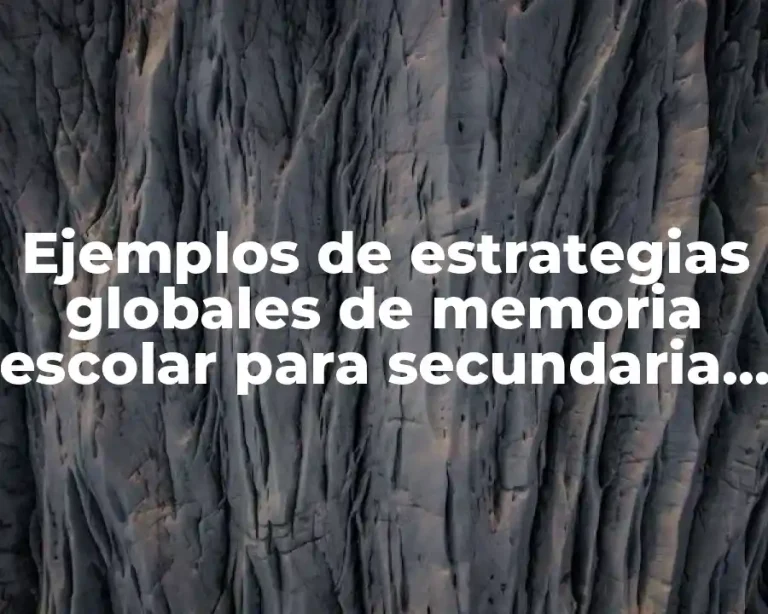 Ejemplos de estrategias globales de memoria escolar para secundaria y Significado