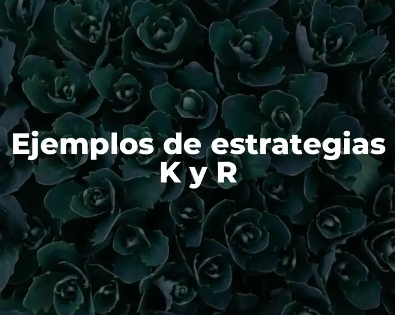 Ejemplos de estrategias K y R