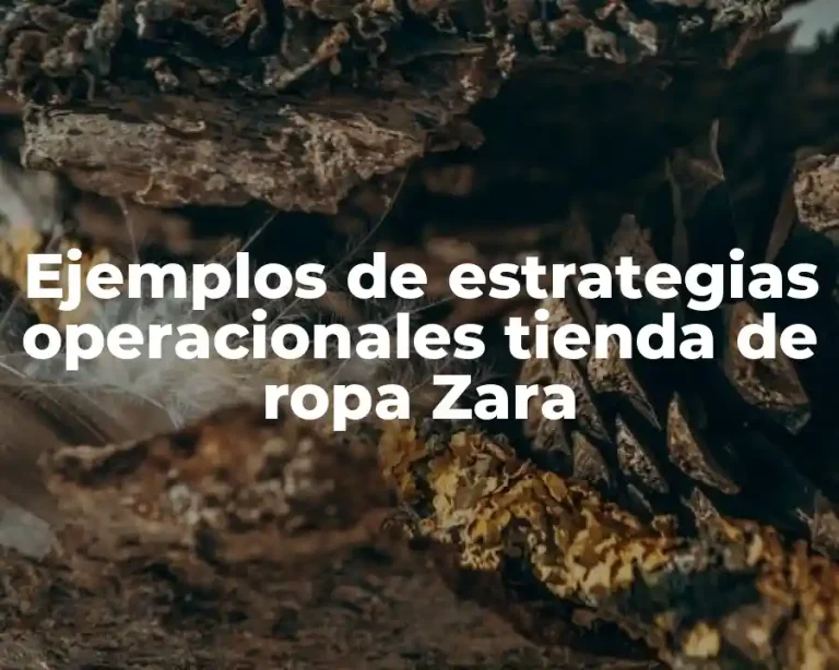 Ejemplos de estrategias operacionales tienda de ropa Zara