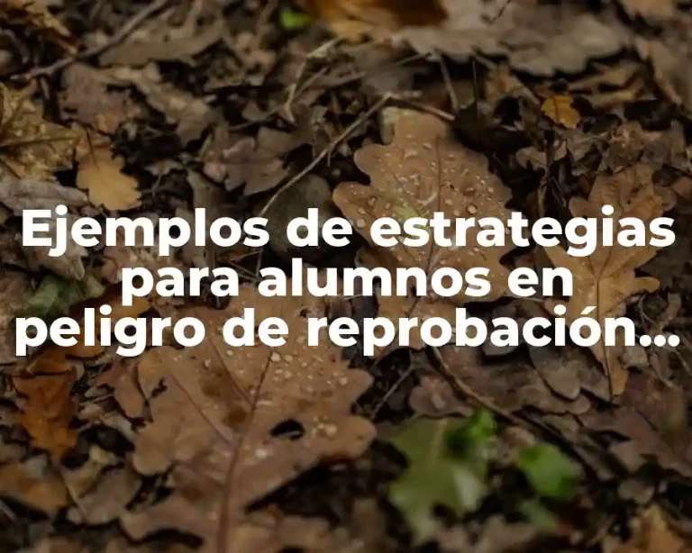 Ejemplos de estrategias para alumnos en peligro de reprobación y Significado