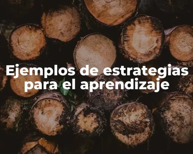 Ejemplos de estrategias para el aprendizaje